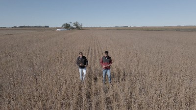 Cómo controlar malezas difíciles en soja