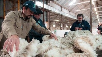 Oficializan el Programa LANAR con una inversión de $1.500 millones para la producción ovina