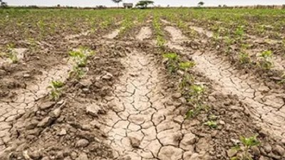 Emergencia Agropecuaria por la sequía: Nación destinará $1.300 millones para la provincia de Santa Fe