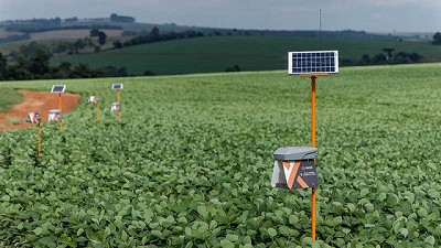 Trampas electrónicas inteligentes permiten el monitoreo remoto de plagas 