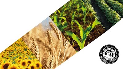 Precipitaciones mejoran el escenario del área sembrada de soja sobre el centro del área agrícola.