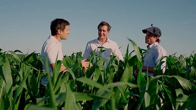 Desde Gualeguay, el maíz crece gracias a un servicio de agricultura de precisión en nutrición 