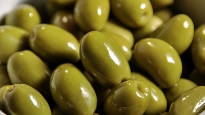 El INTA posee la primera colección de olivos de América