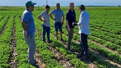 Bioestimular pensando en el crecimiento y para favorecer el rendimiento