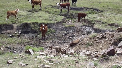 Evalúan aplicar sistema de garantía por la sequía