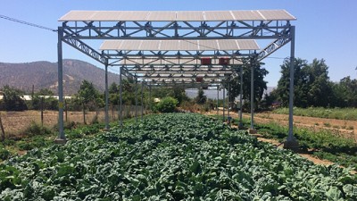 La agrofotovoltaica (APV) herramienta de eficiencia en el uso de la tierra y del agua