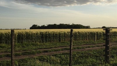 Banco Provincia amplió la asistencia a tasa especial por la emergencia agropecuaria