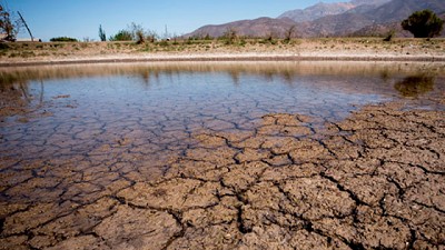 Alerta en las economías regionales: estudio de Coninagro refleja que se encuentran en estado de crisis y advertencia