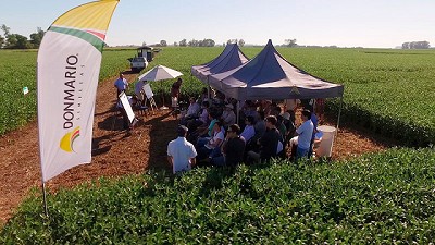 DONMARIOMÁS Chacabuco.  Un espacio de intercambio donde se fusionan la genética, el manejo y la tecnología