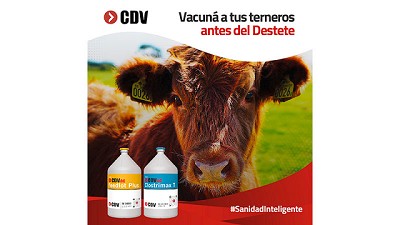 El recurso de las Campañas de Destete Precoz para enfrentar las sequías