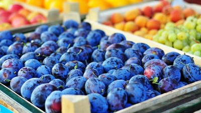 Argentina exportará ciruelas frescas a Brasil