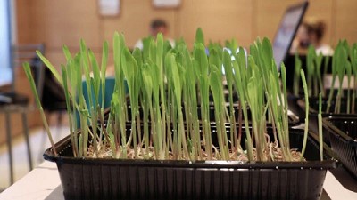 Río Cuarto: un ecosistema “agtech” que apunta a mercados globales