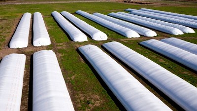 Silobolsas argentinos: con potencial para guardar los granos de Brasil