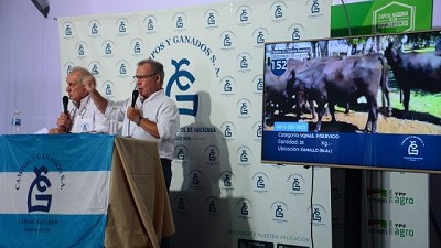 Las principales consignatarias realizarán sus remates de hacienda en Expoagro