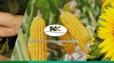 NK lleva a Expoagro su renovado porfolio sumando rendimiento, adaptabilidad y recursos tecnológicos