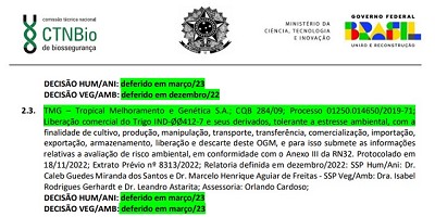 Brasil le dio el ok al trigo transgénico de Bioceres