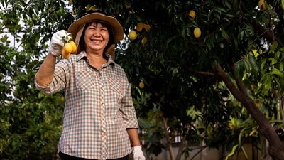 China refuerza estrategias para la estabilidad alimentaria