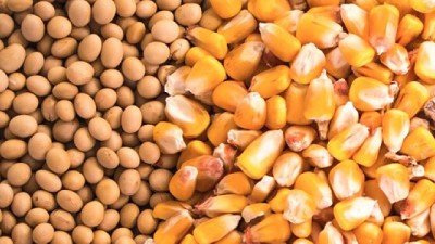 El 49,8% de las exportaciones argentinas en 2022 fueron productos de la agricultura a gran escala