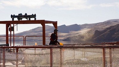 Argentina amplía su zona libre de enfermedades de los salmónidos en Río Negro y Neuquén