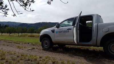 Senasa realiza acciones de vigilancia y monitoreo para combatir la Lobesia Botrana