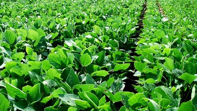 La Argentina posee la industria de biodiésel más moderna del mundo