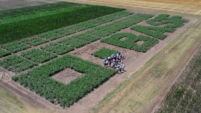 BASF avanza en soluciones integradas para acelerar la transformación de la agricultura