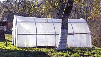 Cómo hacer un invernadero casero paso a paso