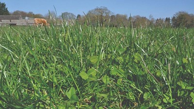 Pasturas: La refertilización como estrategia para optimizar el rebrote otoñal