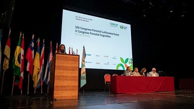 Un encuentro para construir cadenas de valor forestal sostenibles
