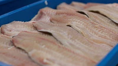 Pautas a tener en cuenta para el consumo responsable y seguro de productos de la pesca