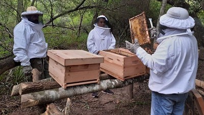 Casi la mitad de la población mundial vive en hogares vinculados a sistemas agroalimentarios