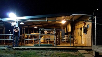 Vacas ordeñadas por robots: El futuro ya llegó