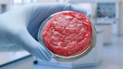Carne sintética: la revolución del mercado alimenticio