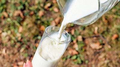 Desarrollan un nuevo producto lácteo fortificado con calcio