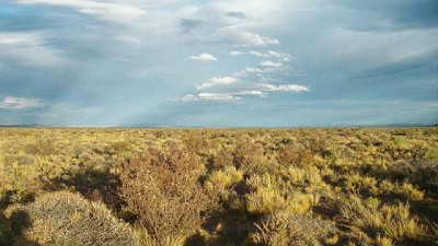 Sequías extremas amenazan la productividad de los pastizales en zonas áridas