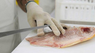 Habilitación a un frigorífico de Chaco para exportar pacú a los Estados Unidos