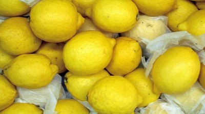 Agricultura estableció los requisitos para que las economías regionales se sumen al Programa de Incremento Exportador