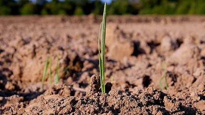 Los suelos de la Argentina almacenan el 2 % de la reserva mundial de carbono
