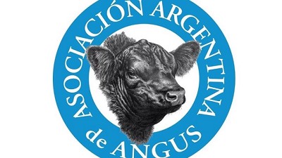 Angus crece en genética y se suma a la megamuestra AgroActiva 2023