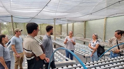 Mediante un intercambio con Brasil promueven el desarrollo del cultivo sin suelo