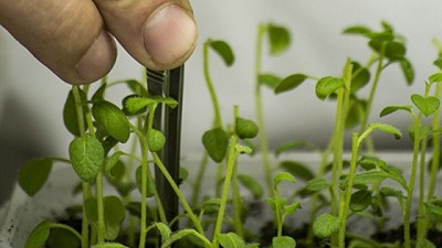 INTA y Conicet articulan agenda para la innovación en el agro