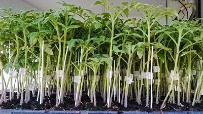 La Argentina, entre los países que protegen la capa de ozono