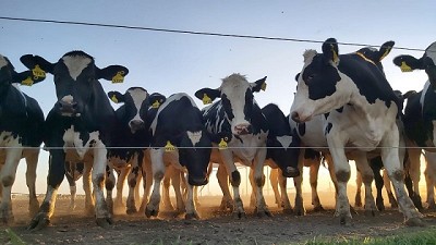 Aprender a producir de manera sustentable, desde la escuela