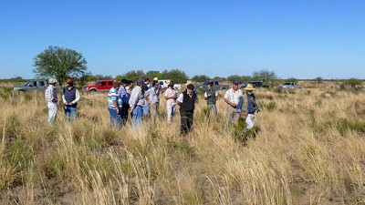 El INTA capacitará sobre manejo de pastizales en campos de zonas semiáridas