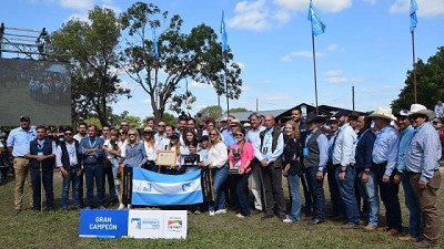 El Congreso Mundial Brangus tiene a sus Grandes Campeones