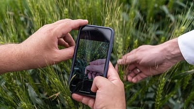 SKYFLD, la herramienta inteligente para agricultura digital de  HELM, se supera con nuevas funciones 