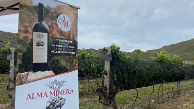 Alma Minera, un viñedo de Calamuchita que nació de la explotación de minerales (8 variedades únicas que se venden en todo el país)