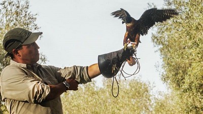 Innovación con mirada ecosistémica