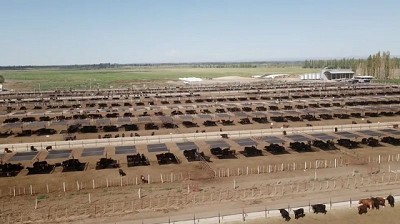 Santa Teresa, entre los feedlots más importantes de Argentina y de Sudamérica