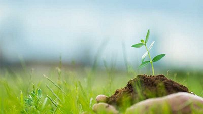 ¿Por qué insistimos con el manejo responsable de nutrientes en los sistemas de producción?